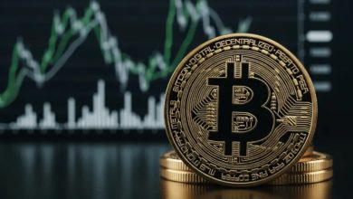 بازی بقا در دنیای کریپتو؛ چرا استخراج بیت کوین دیگر صرفه ندارد؟