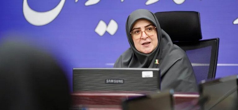 سخنگوی دولت - اینترنت پرو قرار نبود حق دسترسی عمومی را سلب کند