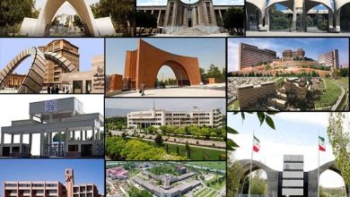 دانشگاه