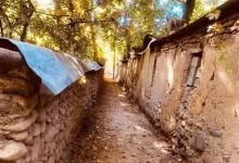 استان البرز